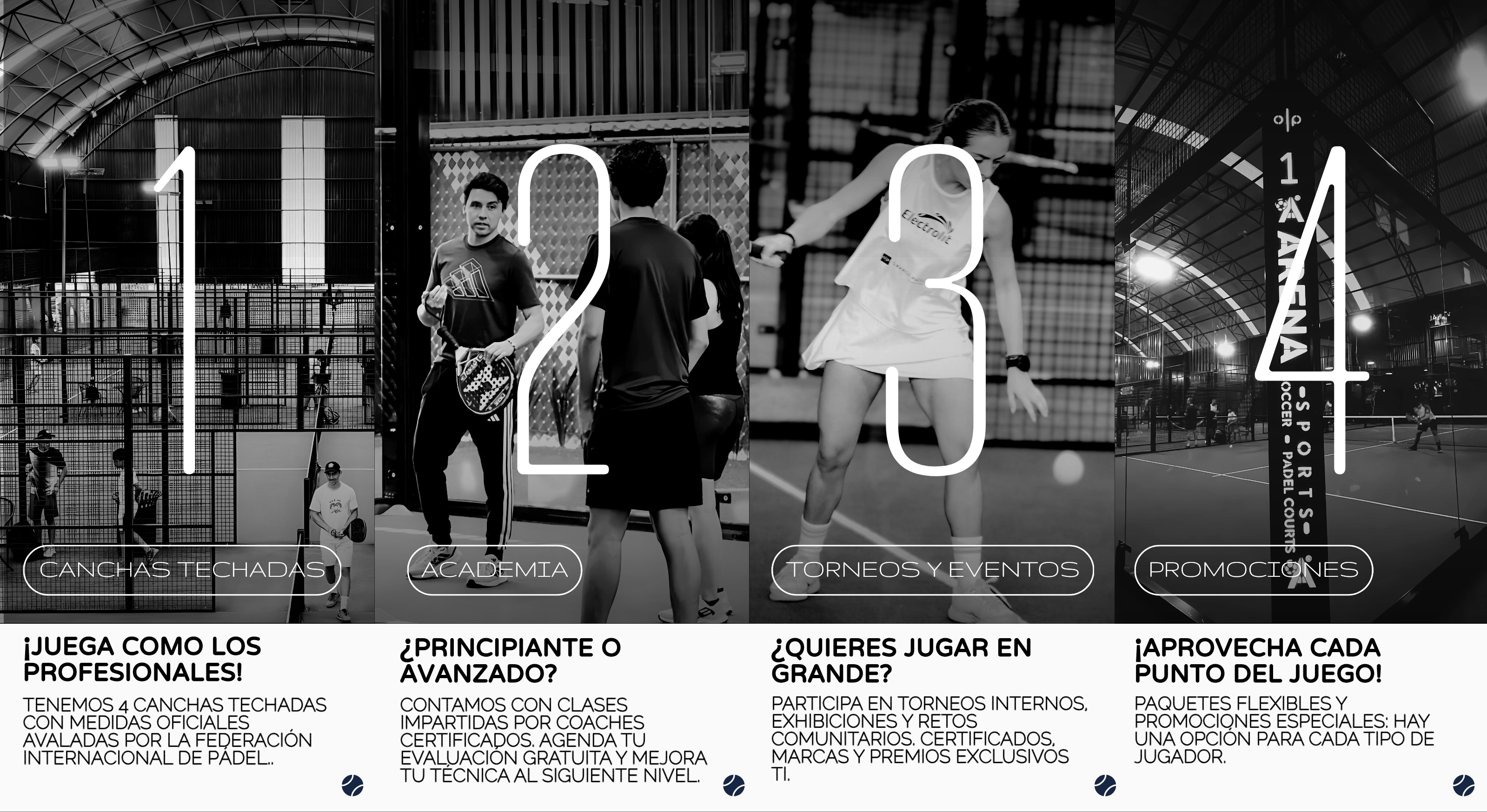 Sección 06 (móvil)